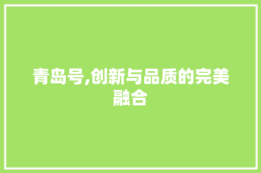 青岛号,创新与品质的完美融合