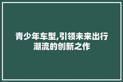 青少年车型,引领未来出行潮流的创新之作