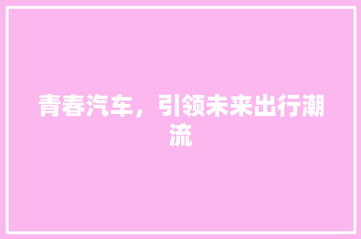 青春汽车，引领未来出行潮流