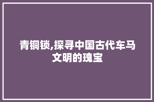 青铜锁,探寻中国古代车马文明的瑰宝