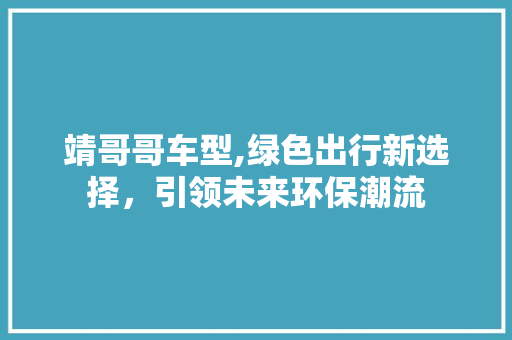 靖哥哥车型,绿色出行新选择，引领未来环保潮流