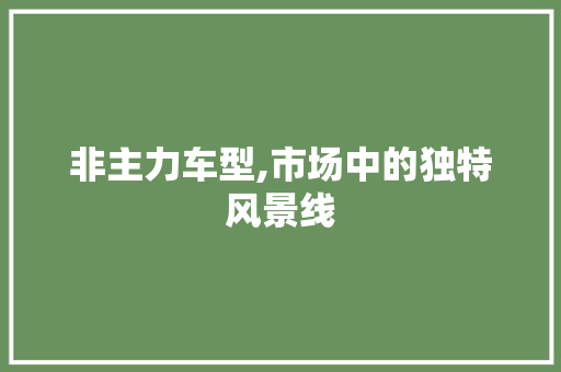 非主力车型,市场中的独特风景线