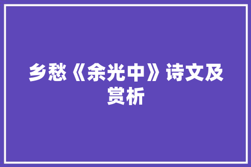 全新车型荣耀上市，引领汽车行业新潮流