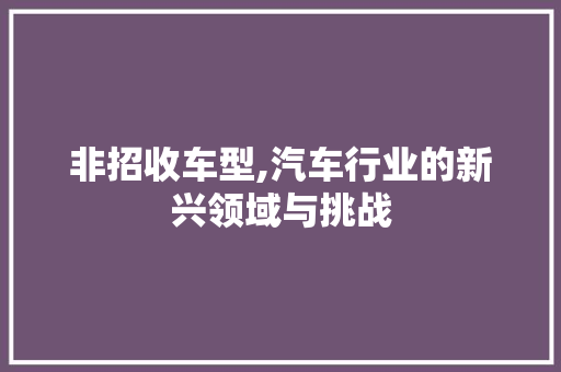 非招收车型,汽车行业的新兴领域与挑战