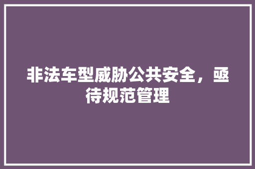非法车型威胁公共安全，亟待规范管理 蓄电池配件