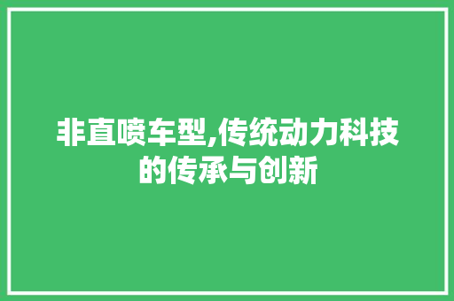 非直喷车型,传统动力科技的传承与创新