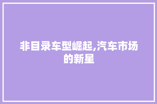非目录车型崛起,汽车市场的新星