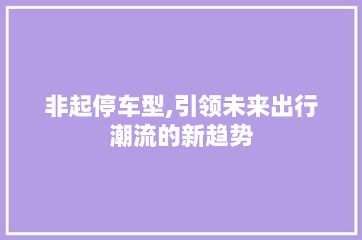 非起停车型,引领未来出行潮流的新趋势