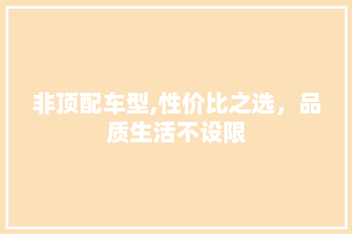 非顶配车型,性价比之选，品质生活不设限