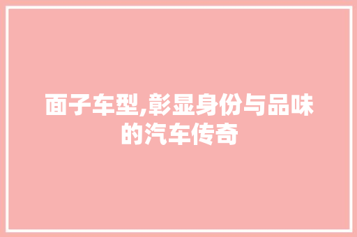 面子车型,彰显身份与品味的汽车传奇