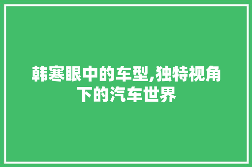 韩寒眼中的车型,独特视角下的汽车世界