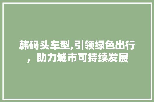 韩码头车型,引领绿色出行，助力城市可持续发展
