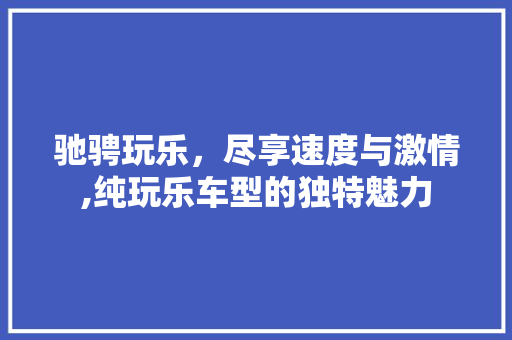 驰骋玩乐，尽享速度与激情,纯玩乐车型的独特魅力