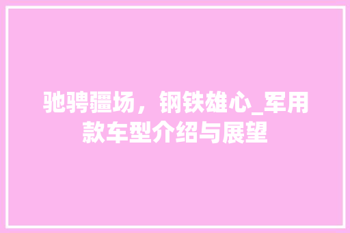 驰骋疆场，钢铁雄心_军用款车型介绍与展望