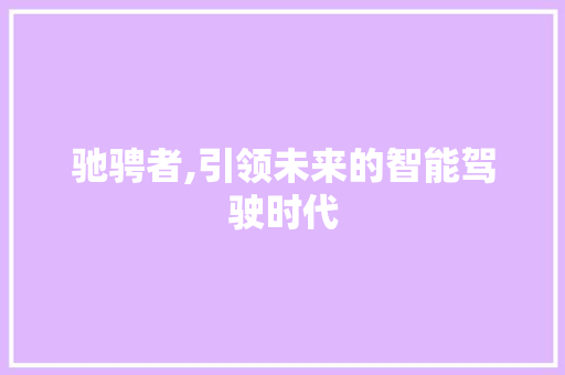 驰骋者,引领未来的智能驾驶时代
