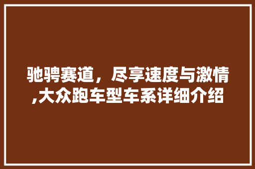 驰骋赛道，尽享速度与激情,大众跑车型车系详细介绍