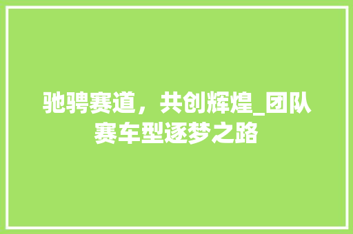 驰骋赛道，共创辉煌_团队赛车型逐梦之路