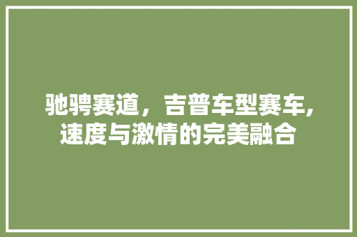 驰骋赛道，吉普车型赛车,速度与激情的完美融合