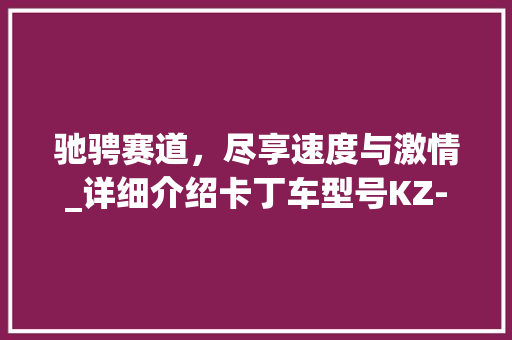 驰骋赛道，尽享速度与激情_详细介绍卡丁车型号KZ-828