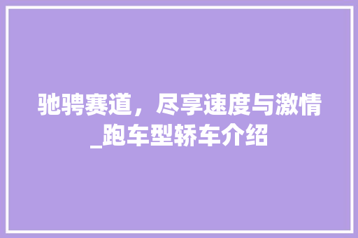 驰骋赛道，尽享速度与激情_跑车型轿车介绍 车灯配件