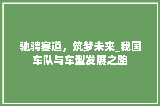 驰骋赛道，筑梦未来_我国车队与车型发展之路