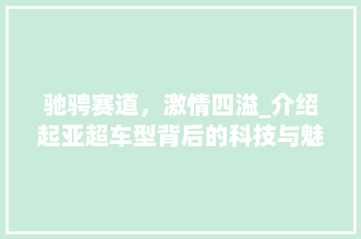 驰骋赛道，激情四溢_介绍起亚超车型背后的科技与魅力 新款车型