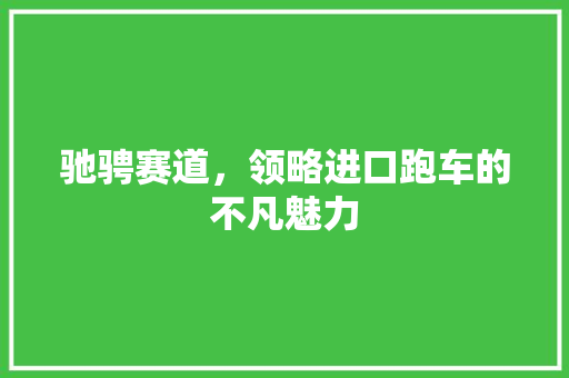 驰骋赛道，领略进口跑车的不凡魅力