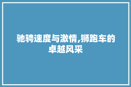 驰骋速度与激情,狮跑车的卓越风采