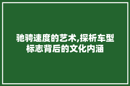 驰骋速度的艺术,探析车型标志背后的文化内涵