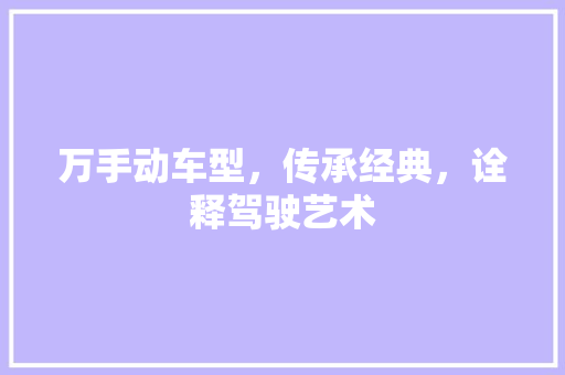 万手动车型，传承经典，诠释驾驶艺术