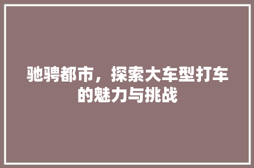 驰骋都市，探索大车型打车的魅力与挑战