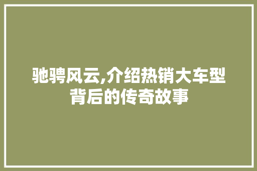 驰骋风云,介绍热销大车型背后的传奇故事