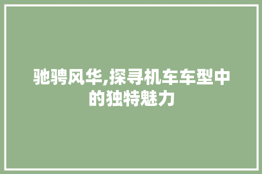 驰骋风华,探寻机车车型中的独特魅力