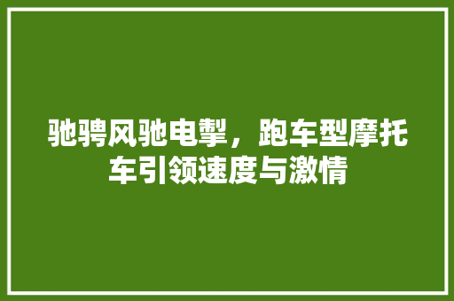 驰骋风驰电掣，跑车型摩托车引领速度与激情