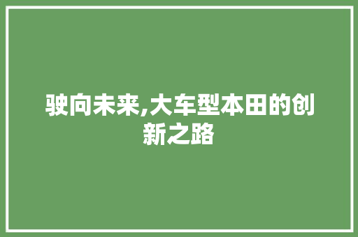 驶向未来,大车型本田的创新之路