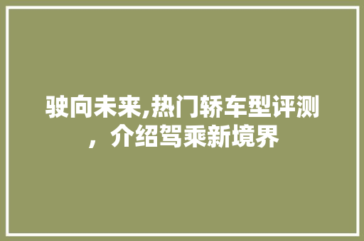 驶向未来,热门轿车型评测，介绍驾乘新境界