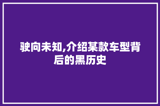 驶向未知,介绍某款车型背后的黑历史