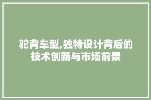 驼背车型,独特设计背后的技术创新与市场前景