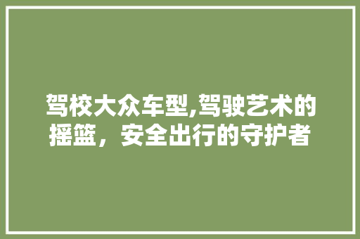 驾校大众车型,驾驶艺术的摇篮，安全出行的守护者