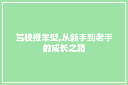 驾校报车型,从新手到老手的成长之路