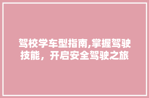 驾校学车型指南,掌握驾驶技能，开启安全驾驶之旅