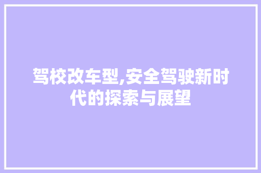 驾校改车型,安全驾驶新时代的探索与展望