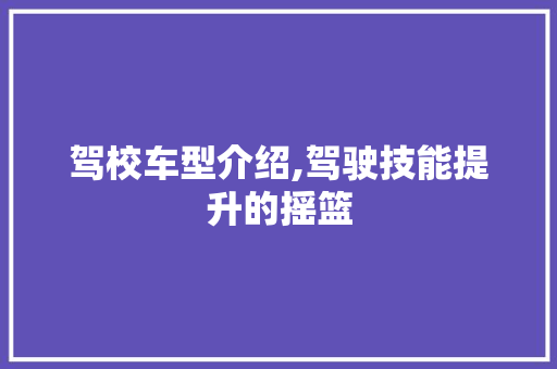 驾校车型介绍,驾驶技能提升的摇篮
