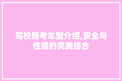 驾校路考车型介绍,安全与性能的完美结合
