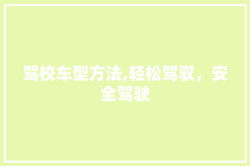 驾校车型方法,轻松驾驭，安全驾驶