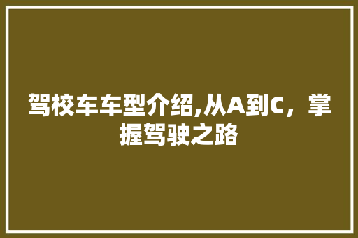 驾校车车型介绍,从A到C，掌握驾驶之路