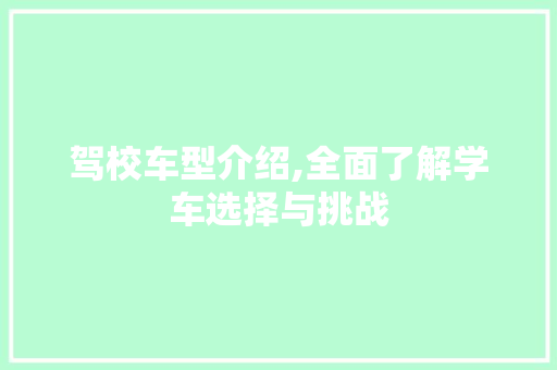 驾校车型介绍,全面了解学车选择与挑战