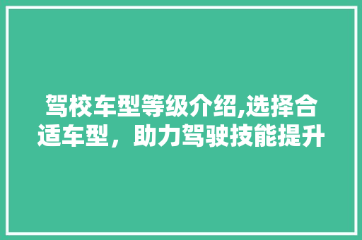 驾校车型等级介绍,选择合适车型，助力驾驶技能提升