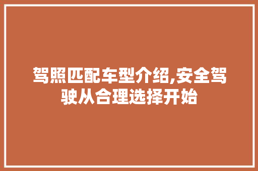 驾照匹配车型介绍,安全驾驶从合理选择开始 新能源汽车