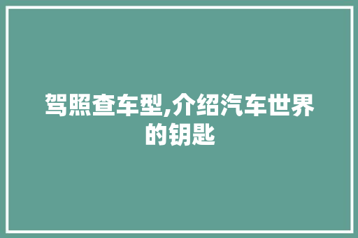 驾照查车型,介绍汽车世界的钥匙